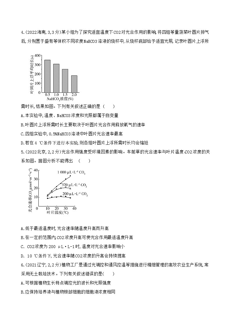 【寒假作业】人教版（2019）高中生物 高一寒假巩固专题训练 作业05 光合作用（原卷版）第2页