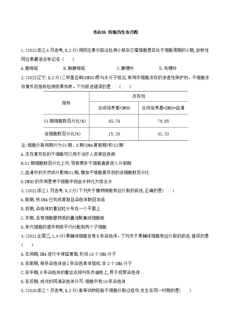 【寒假作业】人教版（2019）高中生物 高一寒假巩固专题训练 作业06 细胞的生命历程（原卷版）第1页