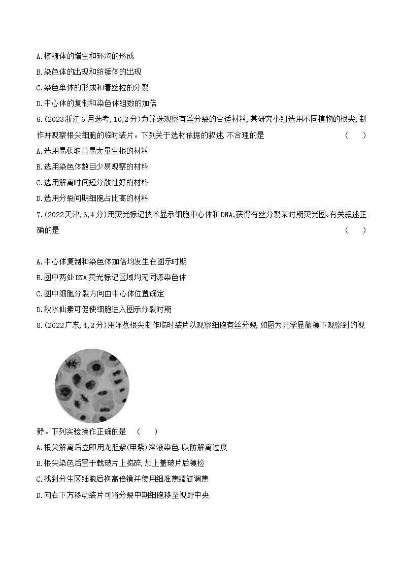 【寒假作业】人教版（2019）高中生物 高一寒假巩固专题训练 作业06 细胞的生命历程（原卷版）第2页