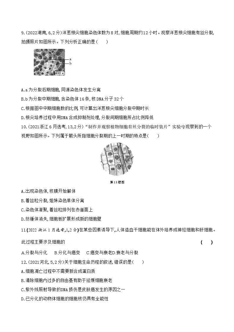 【寒假作业】人教版（2019）高中生物 高一寒假巩固专题训练 作业06 细胞的生命历程（原卷版）第3页