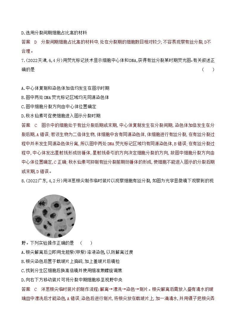 【寒假作业】人教版（2019）高中生物 高一寒假巩固专题训练 作业06 细胞的生命历程（解析版）第3页