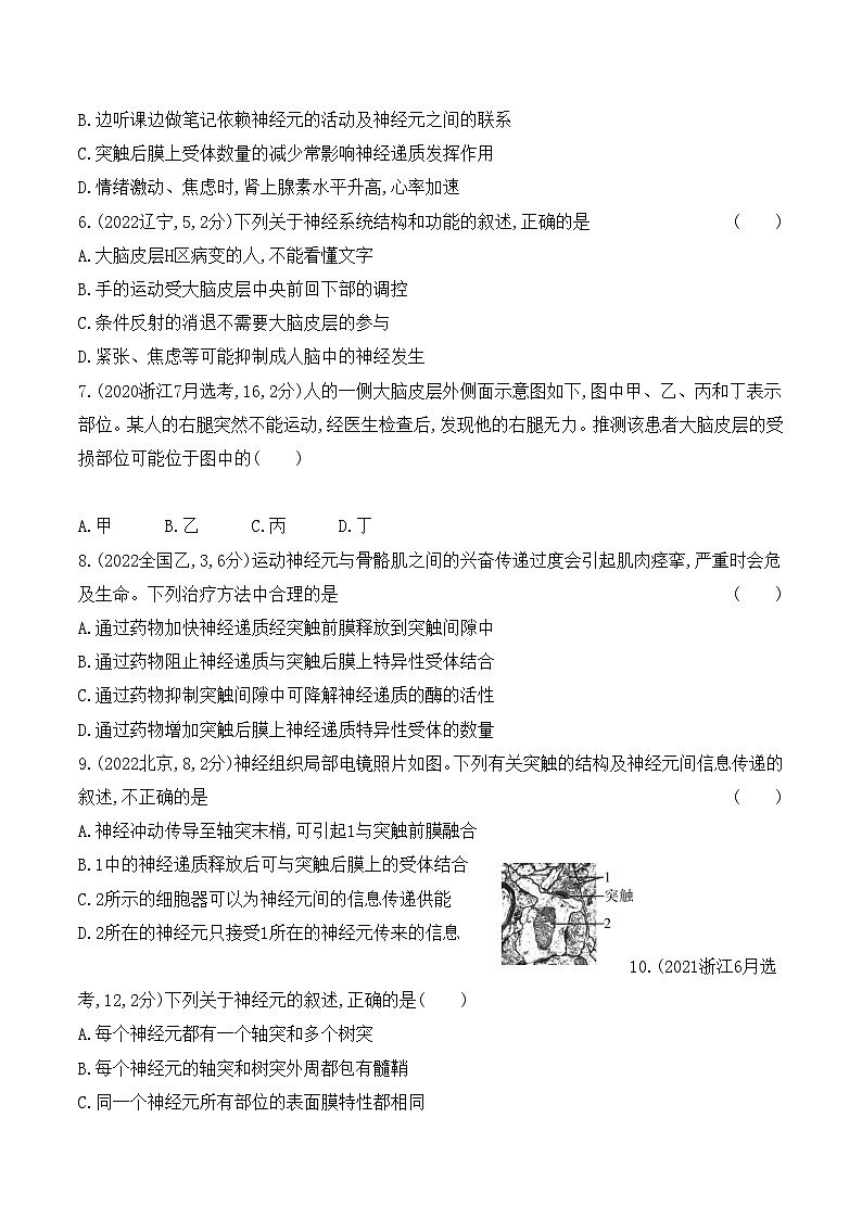 【寒假作业】人教版（2019）高中生物 高二寒假巩固提升训练 作业02 神经调节-练习.zip02