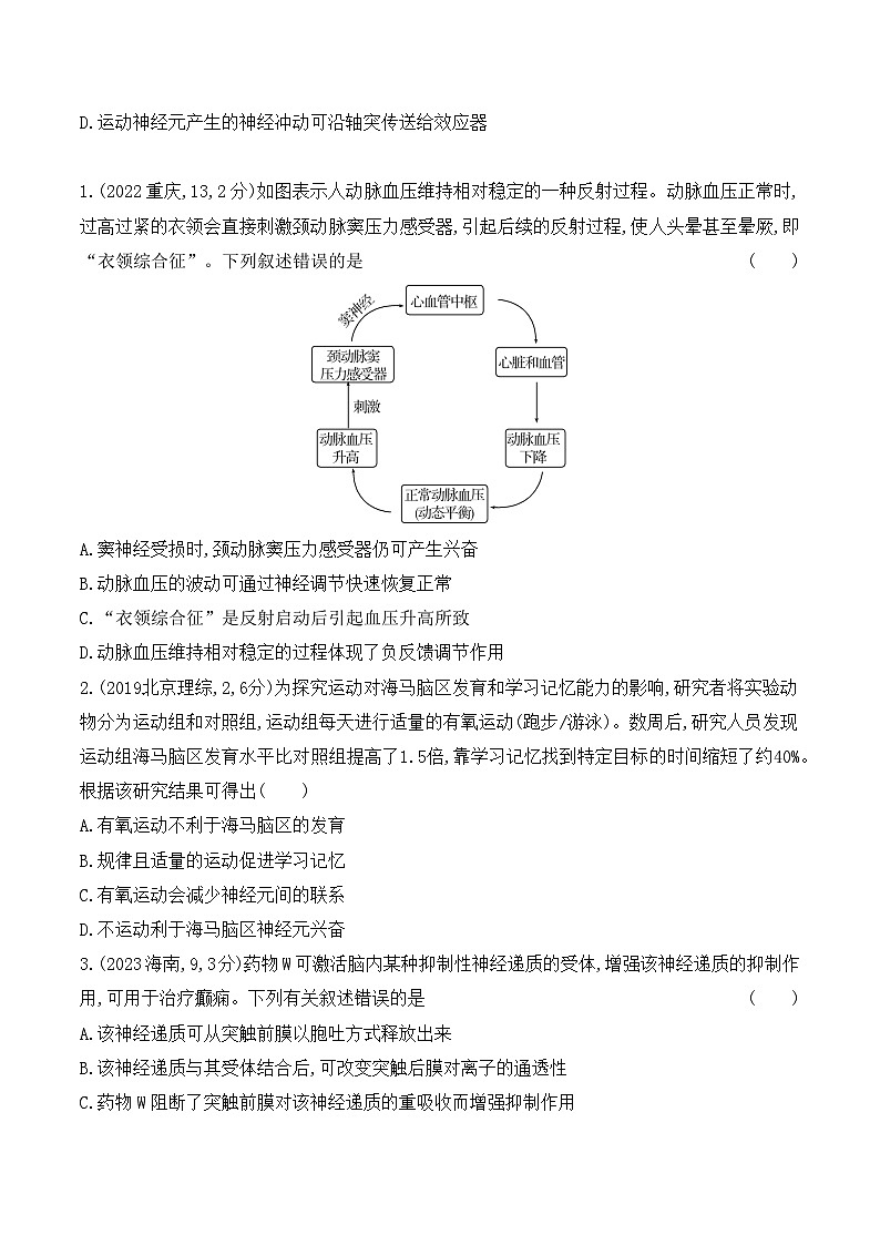 【寒假作业】人教版（2019）高中生物 高二寒假巩固提升训练 作业02 神经调节-练习.zip03