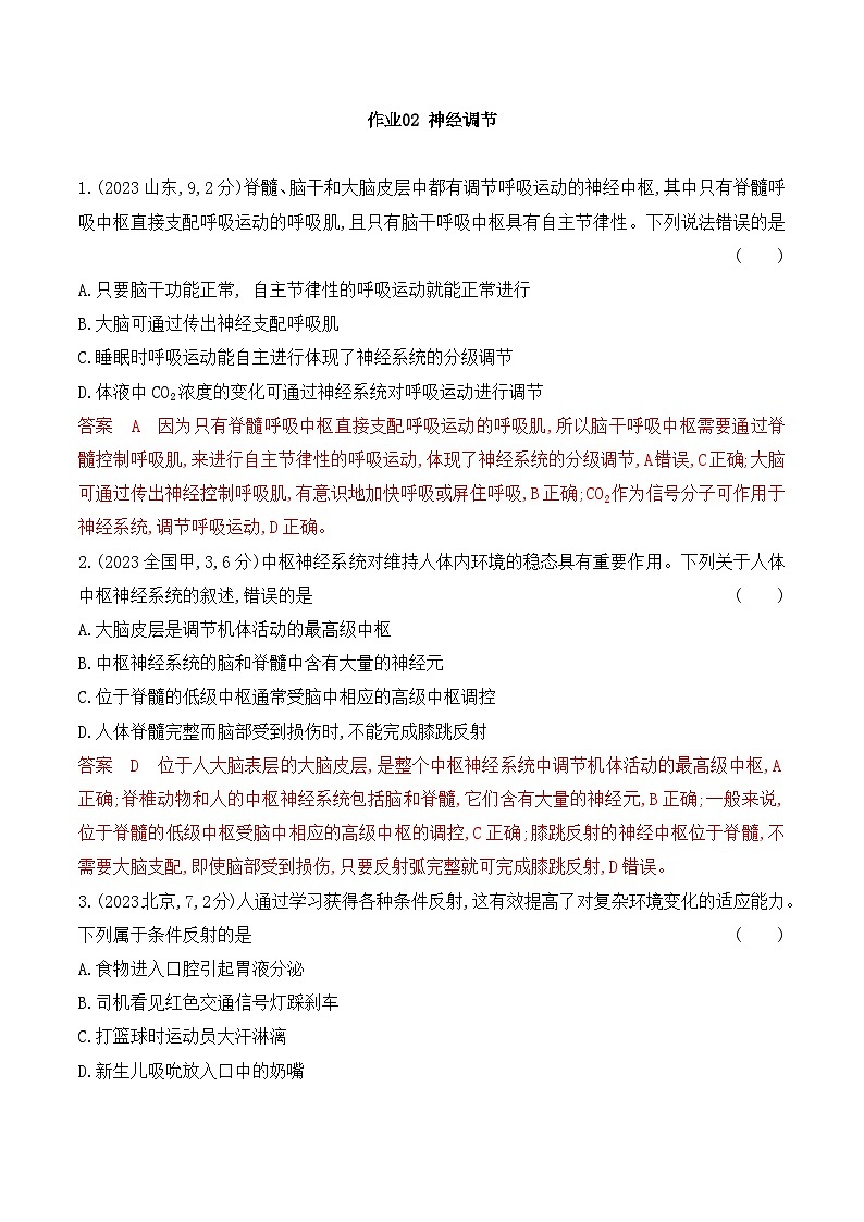 【寒假作业】人教版（2019）高中生物 高二寒假巩固提升训练 作业02 神经调节-练习.zip01