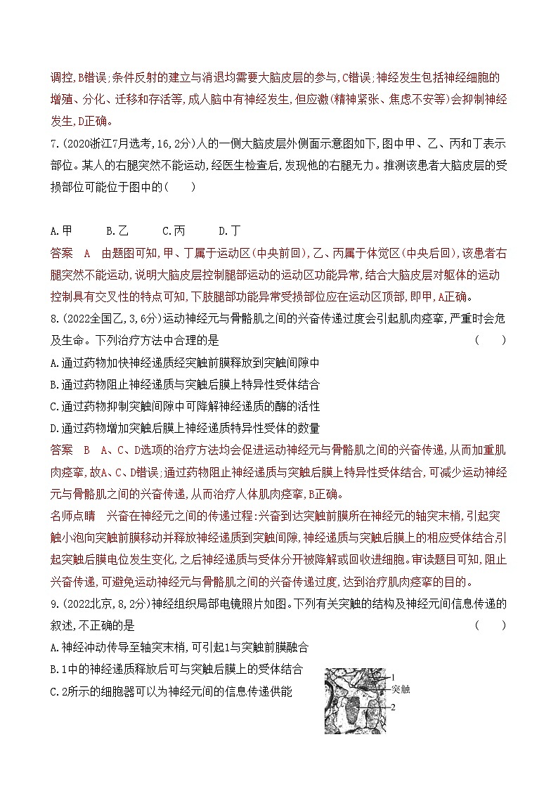 【寒假作业】人教版（2019）高中生物 高二寒假巩固提升训练 作业02 神经调节-练习.zip03