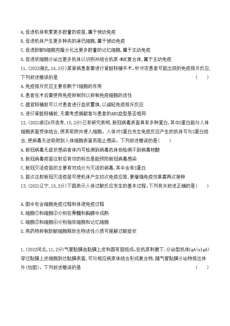 【寒假作业】人教版（2019）高中生物 高二寒假巩固提升训练 作业04 免疫调节-练习.zip03