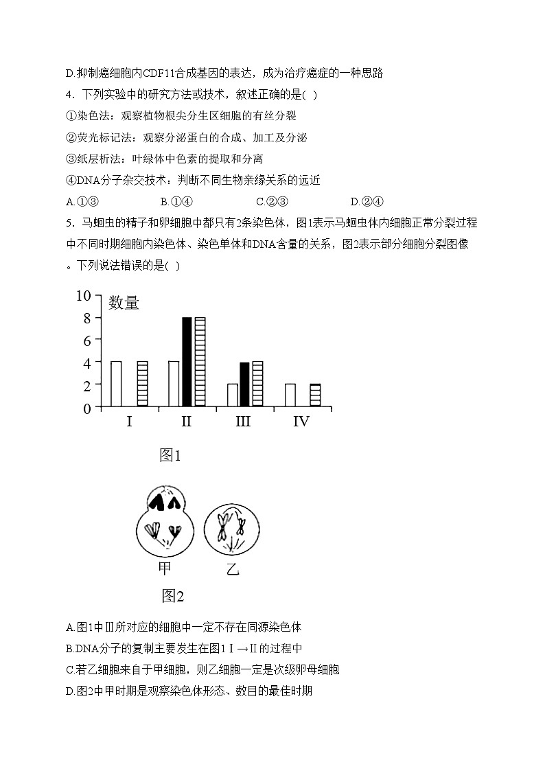 河北省保定市部分高中2024届高三上学期1月期末考试（二）生物试卷(含答案)02