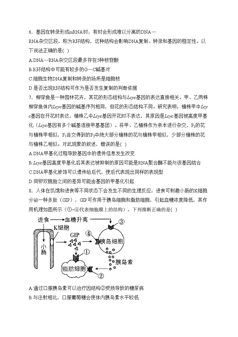 河北省保定市部分高中2024届高三上学期1月期末考试（二）生物试卷(含答案)03
