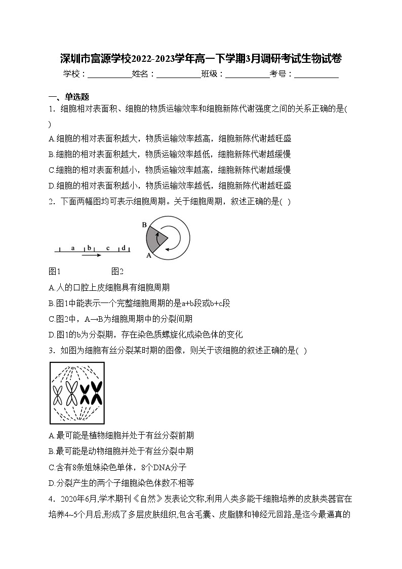 深圳市富源学校2022-2023学年高一下学期3月调研考试生物试卷(含答案)第1页