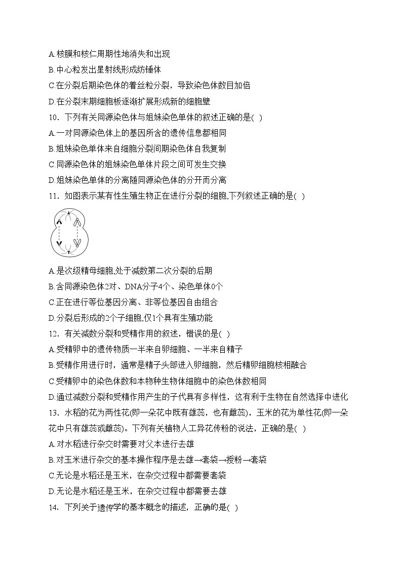 深圳市富源学校2022-2023学年高一下学期3月调研考试生物试卷(含答案)第3页