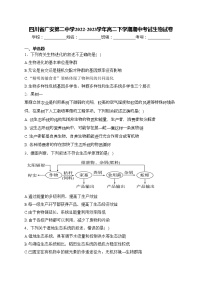 四川省广安第二中学2022-2023学年高二下学期期中考试生物试卷(含答案)