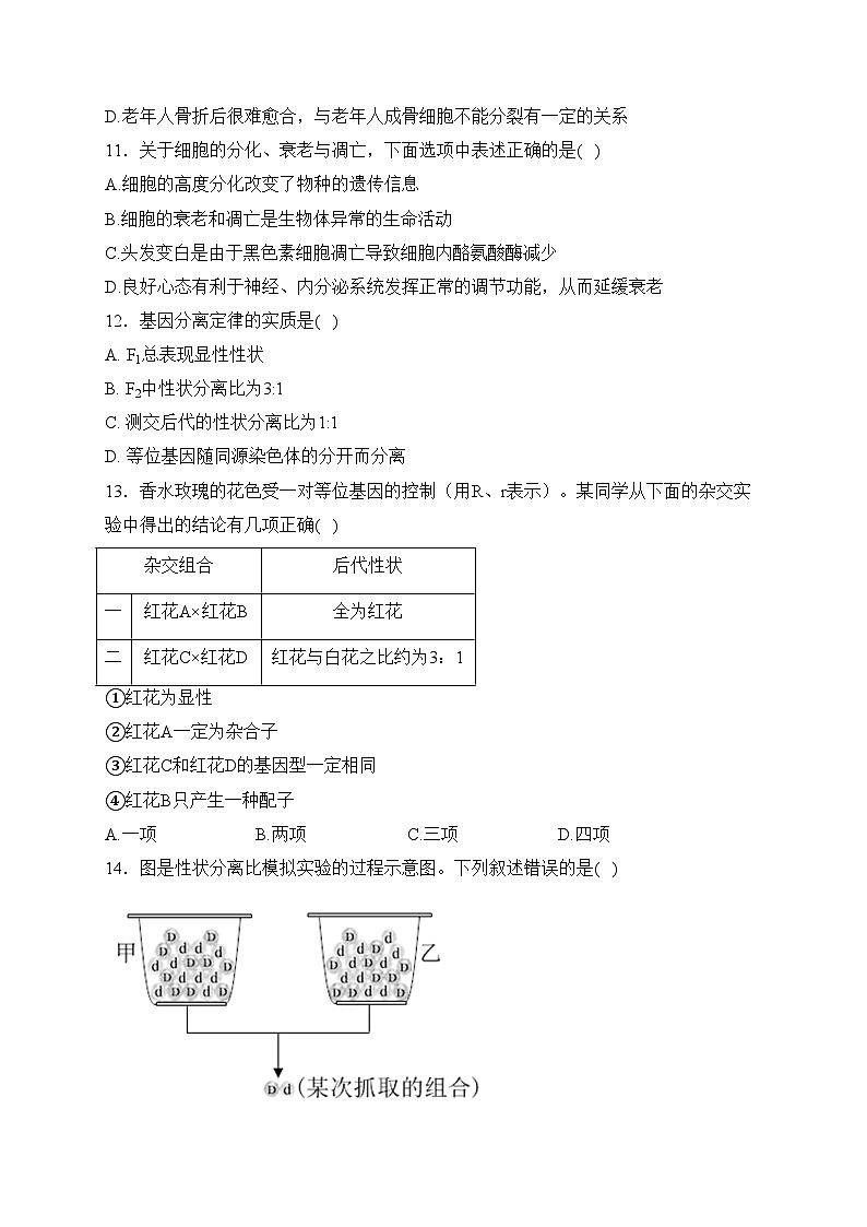 新疆生产建设兵团第二师八一中学2022-2023学年高一下学期期中考试生物试卷(含答案)第3页