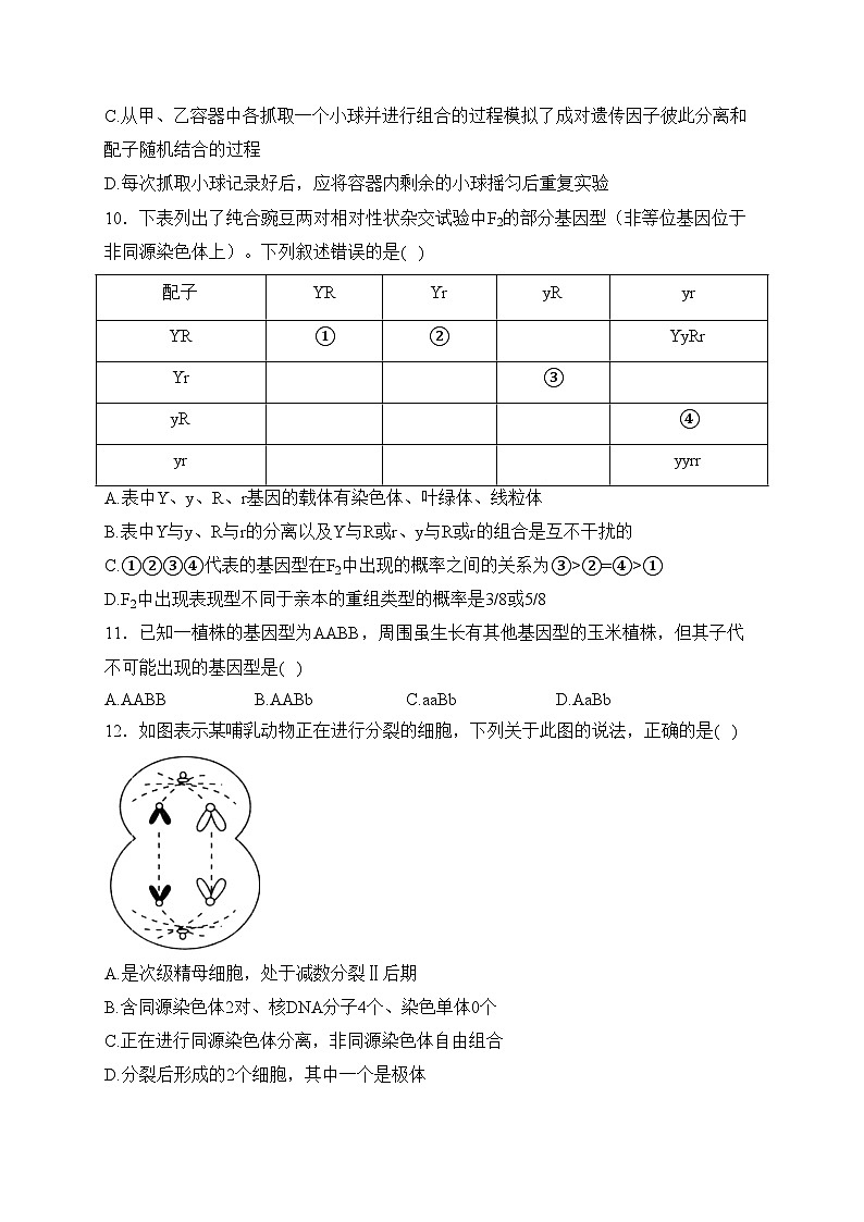 运城市康杰中学2022-2023学年高一下学期3月月考生物试卷(含答案)03