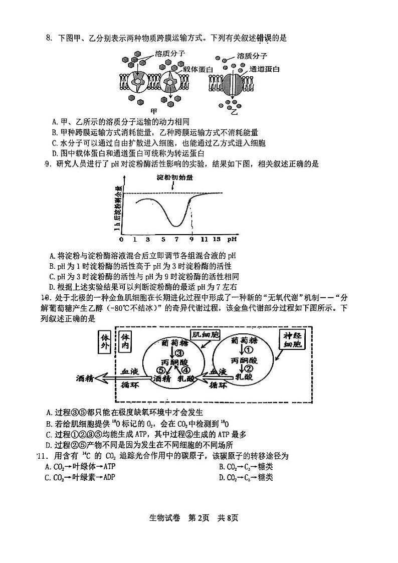 江苏省泰州市2023-2024学年高一上学期期末考试生物试题02