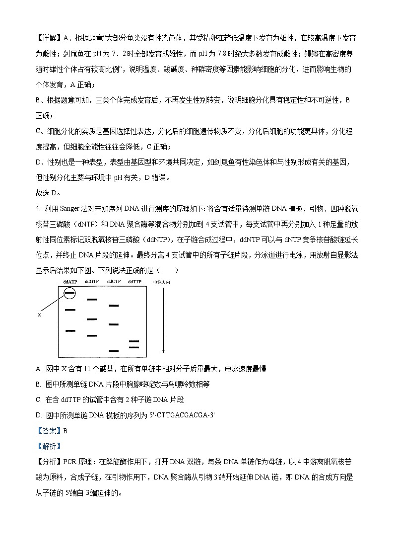 山东省济南市2023-2024学年高三上学期期末学习质量检测生物试题03