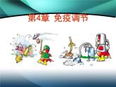4.2免疫调节教学课件 高二上学期生物人教版选择性必修1