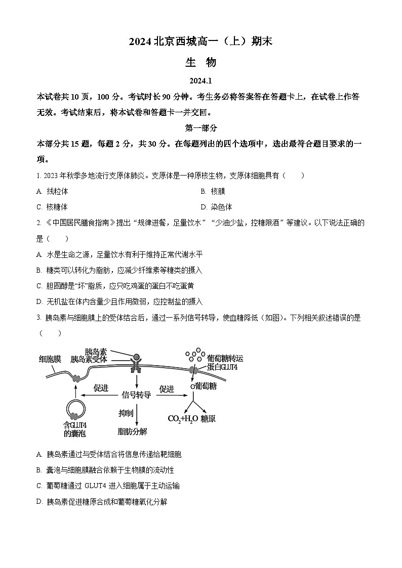 北京市西城区2023-2024学年高一上学期期末生物试题（Word版附解析）01