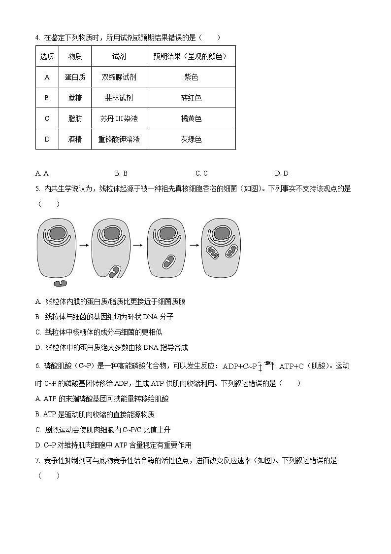 北京市西城区2023-2024学年高一上学期期末生物试题（Word版附解析）02