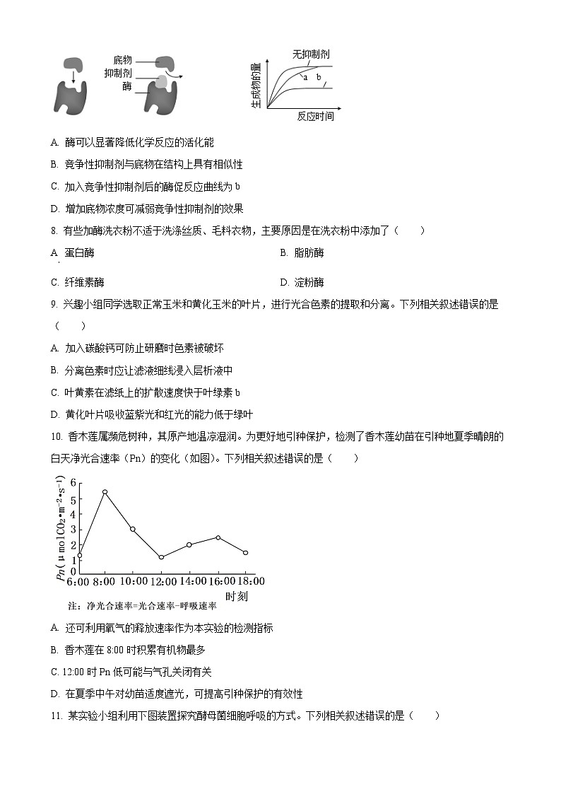 北京市西城区2023-2024学年高一上学期期末生物试题（Word版附解析）03
