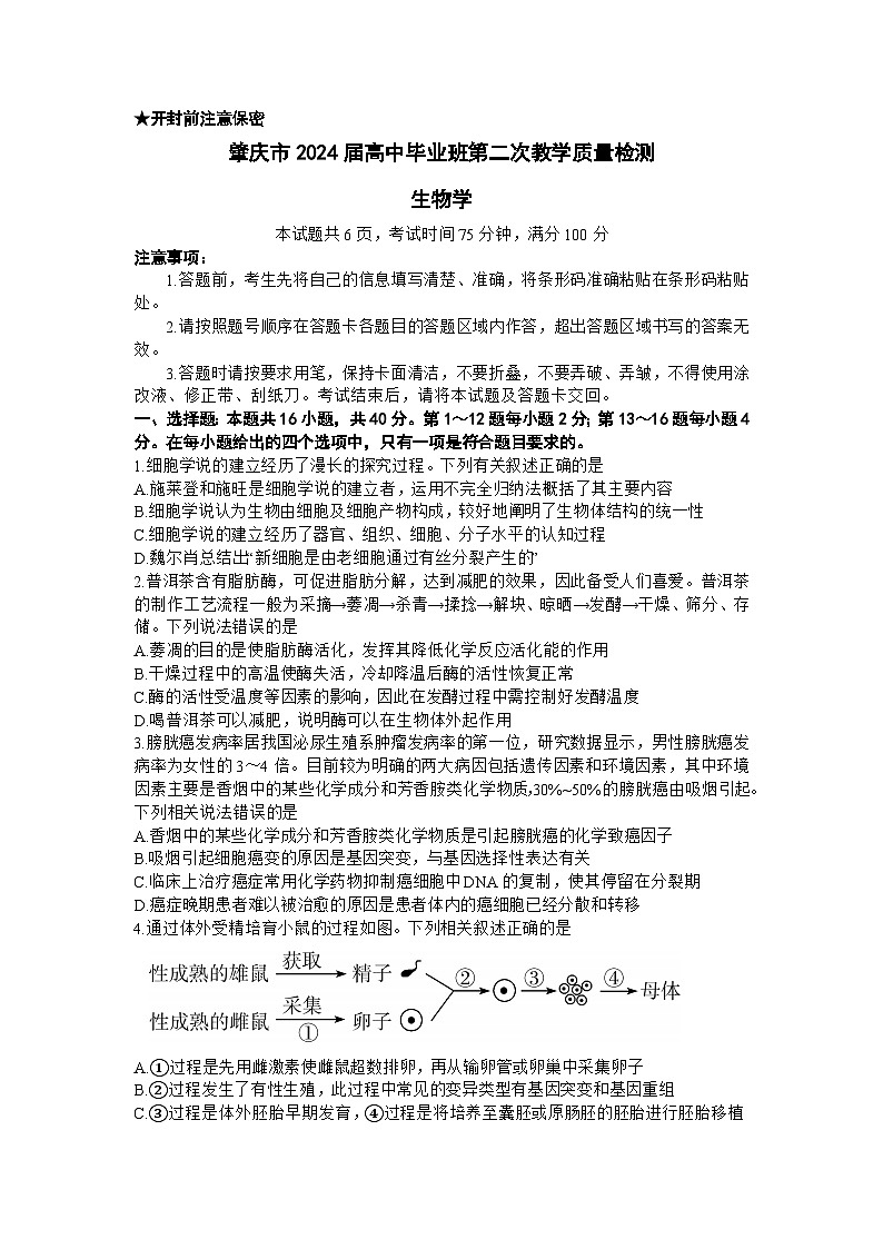 广东省肇庆市2024届高三上学期第二次教学质量检测生物试题（Word版附答案）01