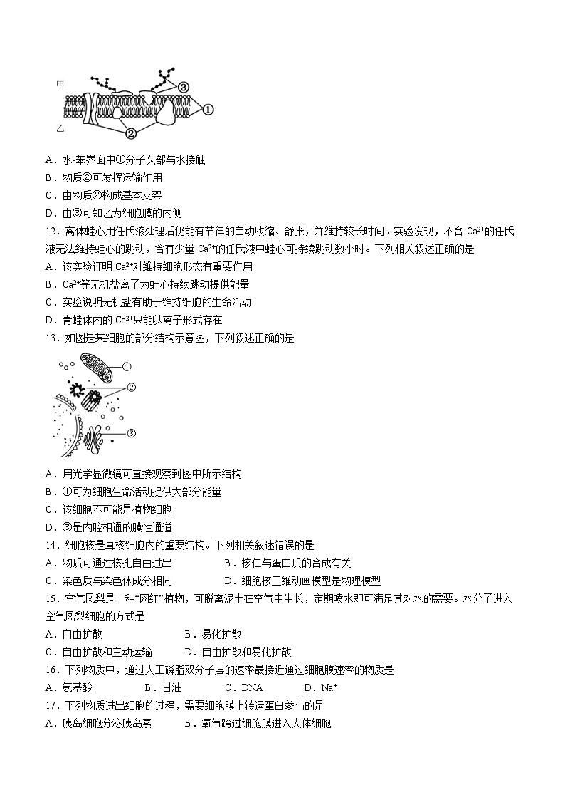 辽宁省大连市2023-2024学年高一上学期期末生物试题（Word版附答案）03