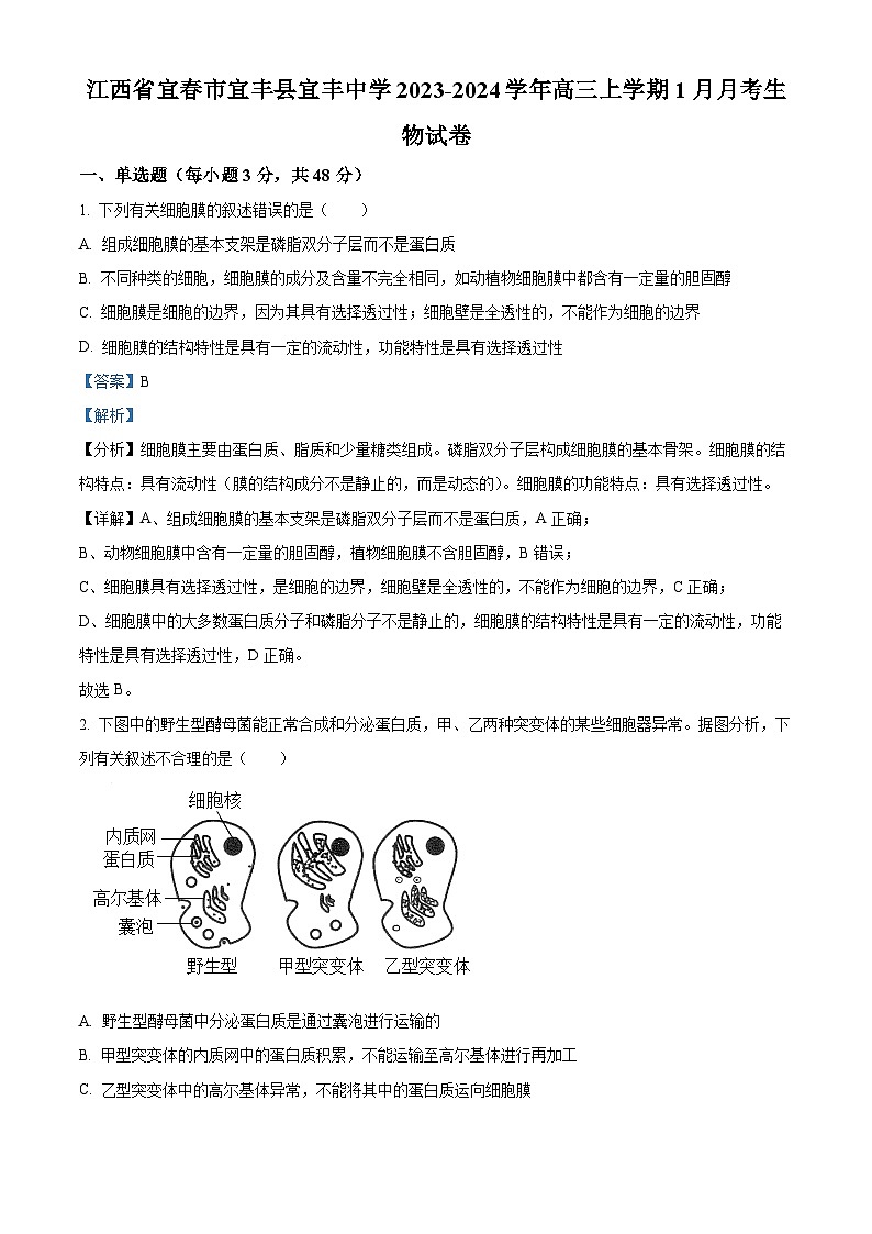 江西省宜春市宜丰中学2023-2024学年高三上学期1月月考生物试题（Word版附解析）01