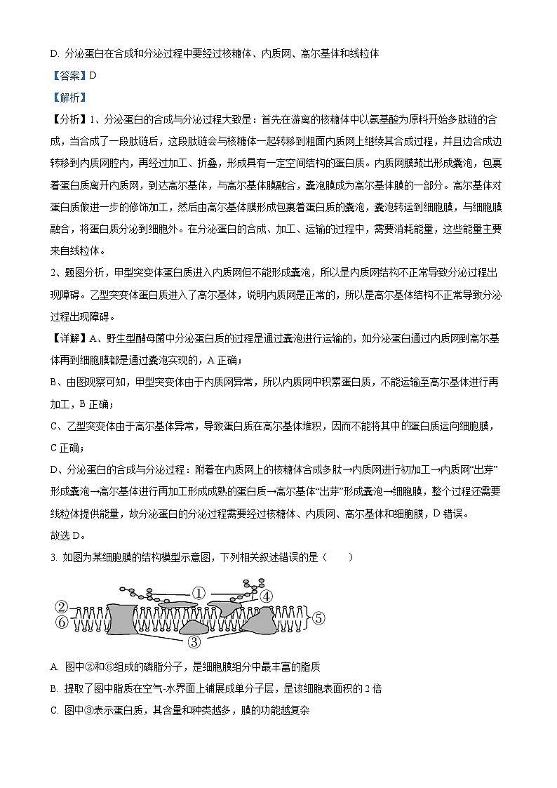 江西省宜春市宜丰中学2023-2024学年高三上学期1月月考生物试题（Word版附解析）02
