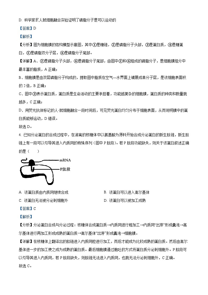 江西省宜春市宜丰中学2023-2024学年高三上学期1月月考生物试题（Word版附解析）03