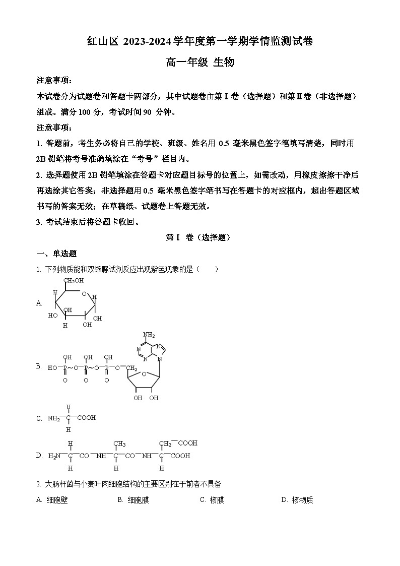 内蒙古自治区赤峰市红山区2023-2024学年高一上学期期末生物试题（Word版附解析）01