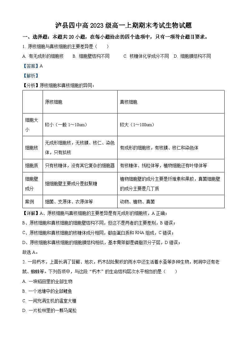 四川省泸州市泸县四中2023-2024学年高一上学期1月期末生物试题（Word版附解析）第1页