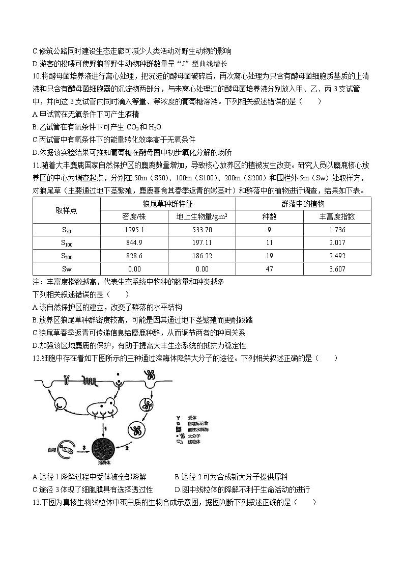 2024泉州高三质量监测（二）生物试题03