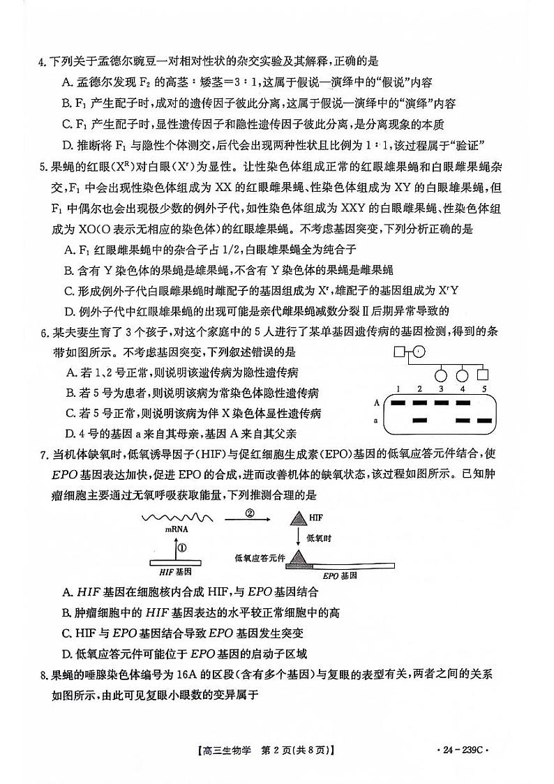 湖北省十堰市2024届高三上学期1月调研考试生物第2页