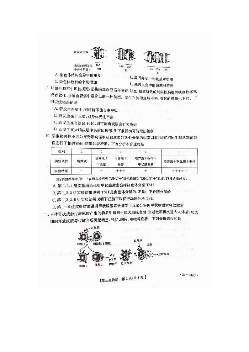 2024年十堰市高三元月调考生物试卷第3页
