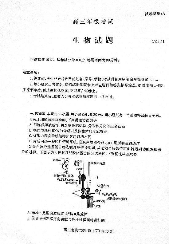 山东省泰安市2024届高三上学期期末考试生物01