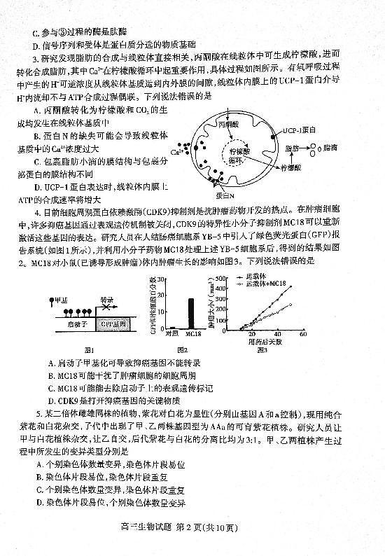 山东省泰安市2024届高三上学期期末考试生物02
