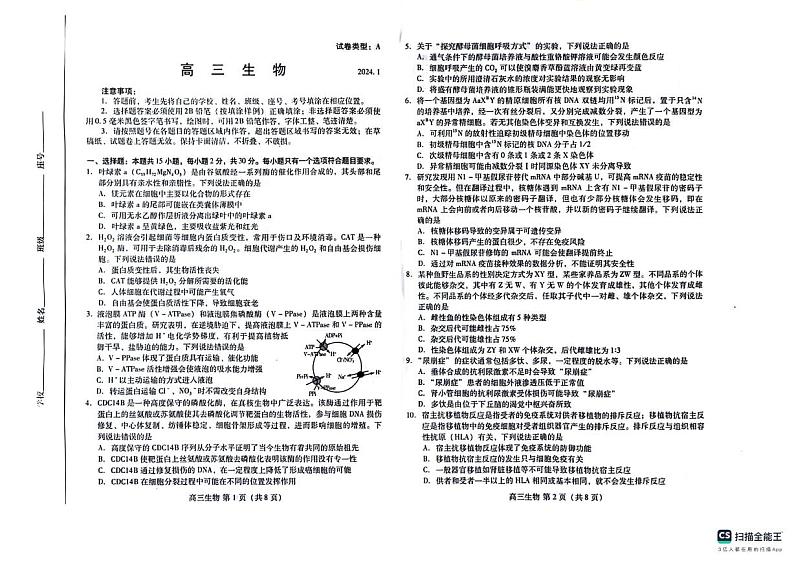 山东省潍坊市2023-2024学年高三上学期期末考试生物试题01