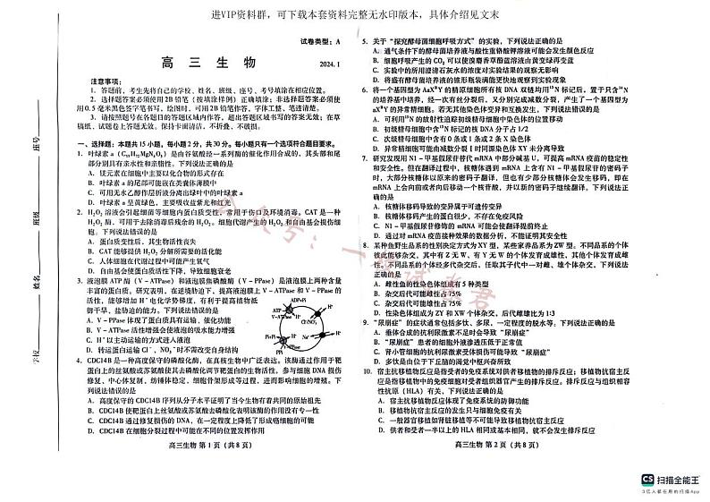 山东省潍坊市2024届高三上学期期末考试生物01