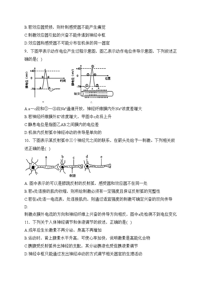 张家界市民族中学2023-2024学年高二上学期第一次月考生物试卷(含答案)第3页