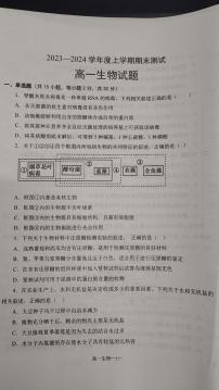 内蒙古赤峰市宁城县2023-2024学年高一上学期期末考试生物试题