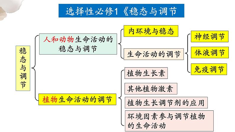 人教版 高中生物 第一章第一节细胞生活的环境（两个课时）课件PPT01