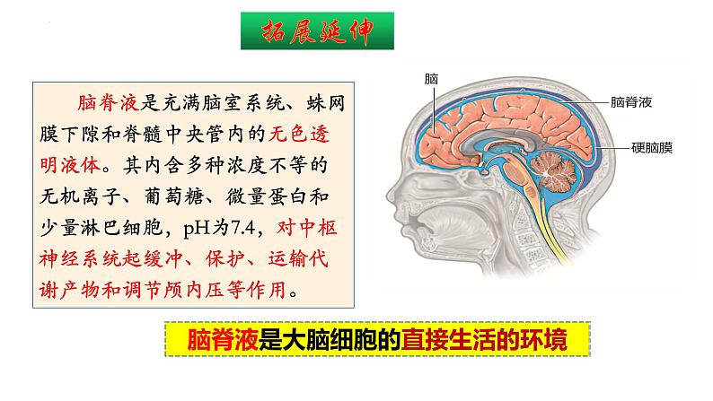 人教版 高中生物 第一章第一节细胞生活的环境（两个课时）课件PPT07