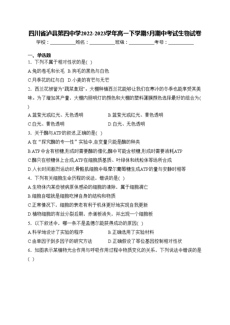 四川省泸县第四中学2022-2023学年高一下学期5月期中考试生物试卷(含答案)第1页