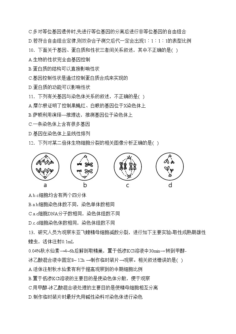 四川省泸县第四中学2022-2023学年高一下学期5月期中考试生物试卷(含答案)第3页