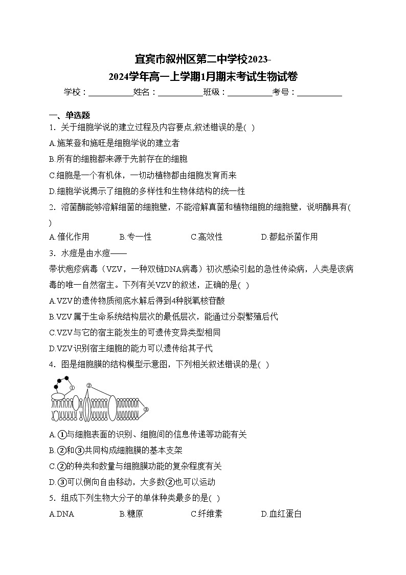 宜宾市叙州区第二中学校2023-2024学年高一上学期1月期末考试生物试卷(含答案)第1页