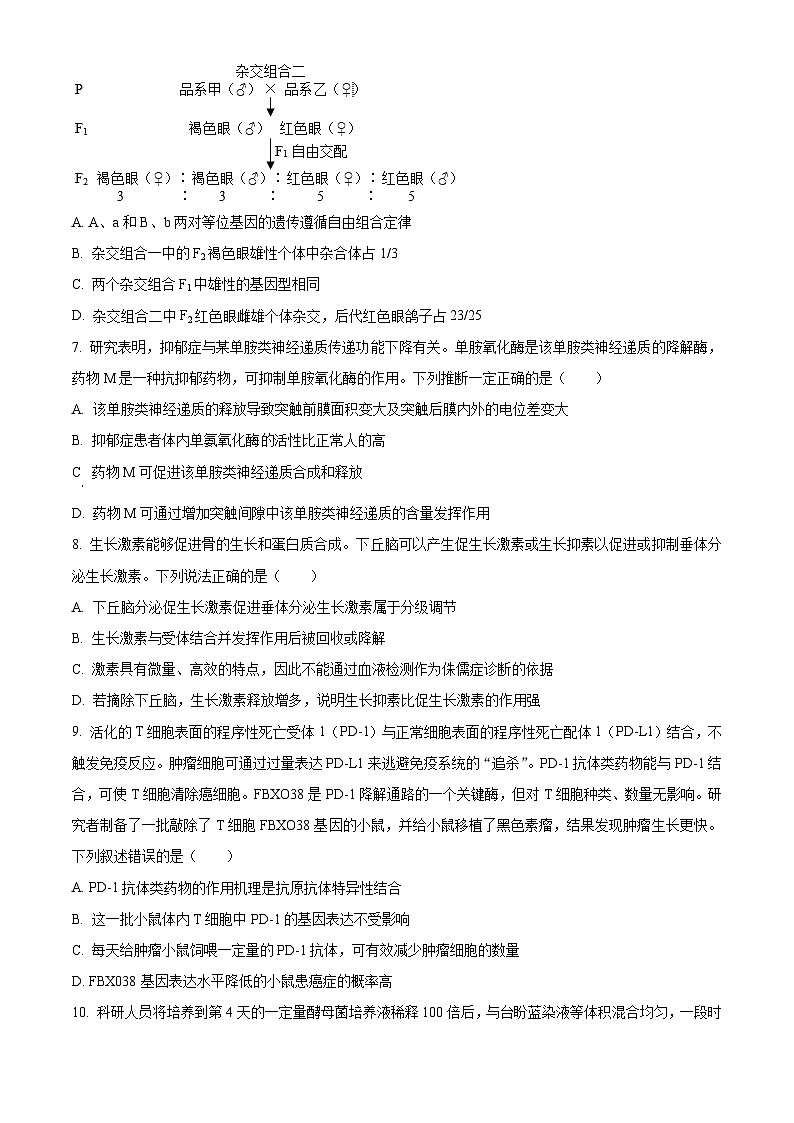 精品解析：山东省济南市2023-2024学年高三上学期期末学习质量检测生物试题（原卷版）第3页