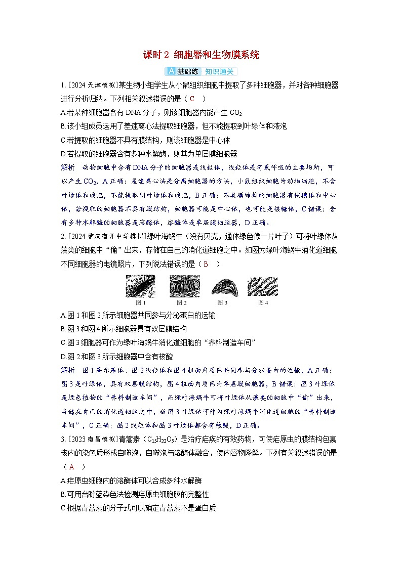 备考2024届高考生物一轮复习分层练习第二章细胞的基本结构和物质的运输课时2细胞器和生物膜系统01