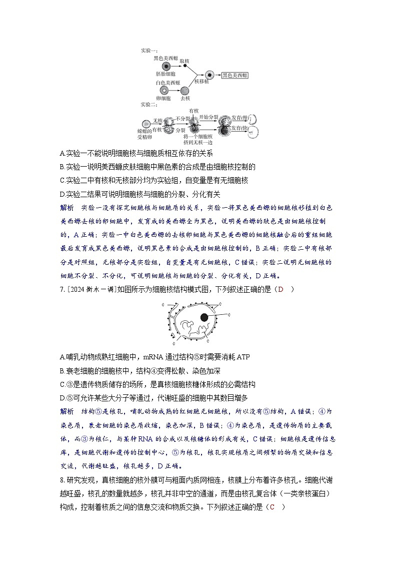 备考2024届高考生物一轮复习分层练习第二章细胞的基本结构和物质的运输课时1细胞膜和细胞核的结构和功能03