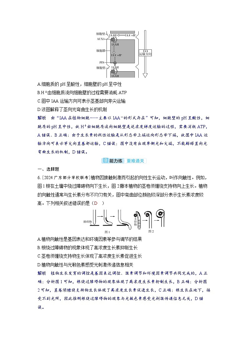 备考2024届高考生物一轮复习分层练习第九章植物生命活动的调节课时1植物生长素及其生理作用03
