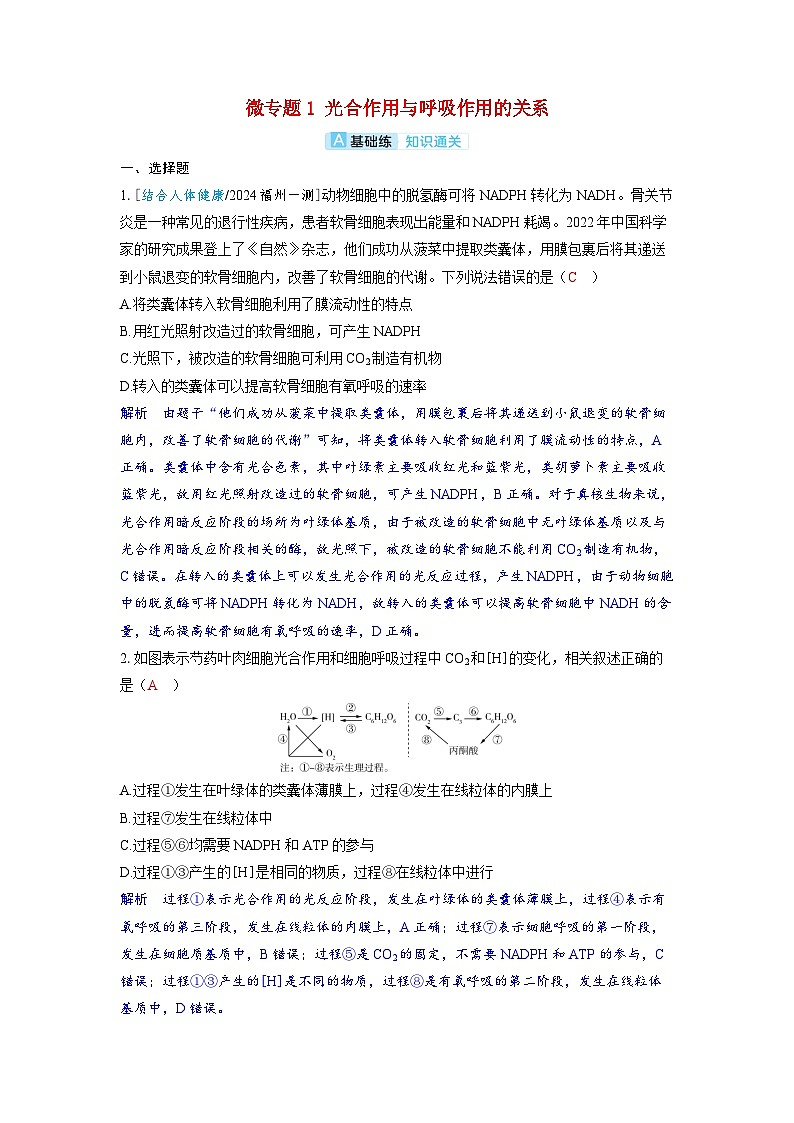 备考2024届高考生物一轮复习分层练习第三章细胞代谢微专题1光合作用与呼吸作用的关系第1页