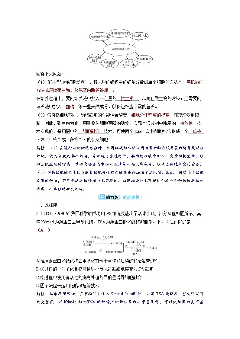 备考2024届高考生物一轮复习分层练习第十一章生物技术与工程课时4动物细胞工程03